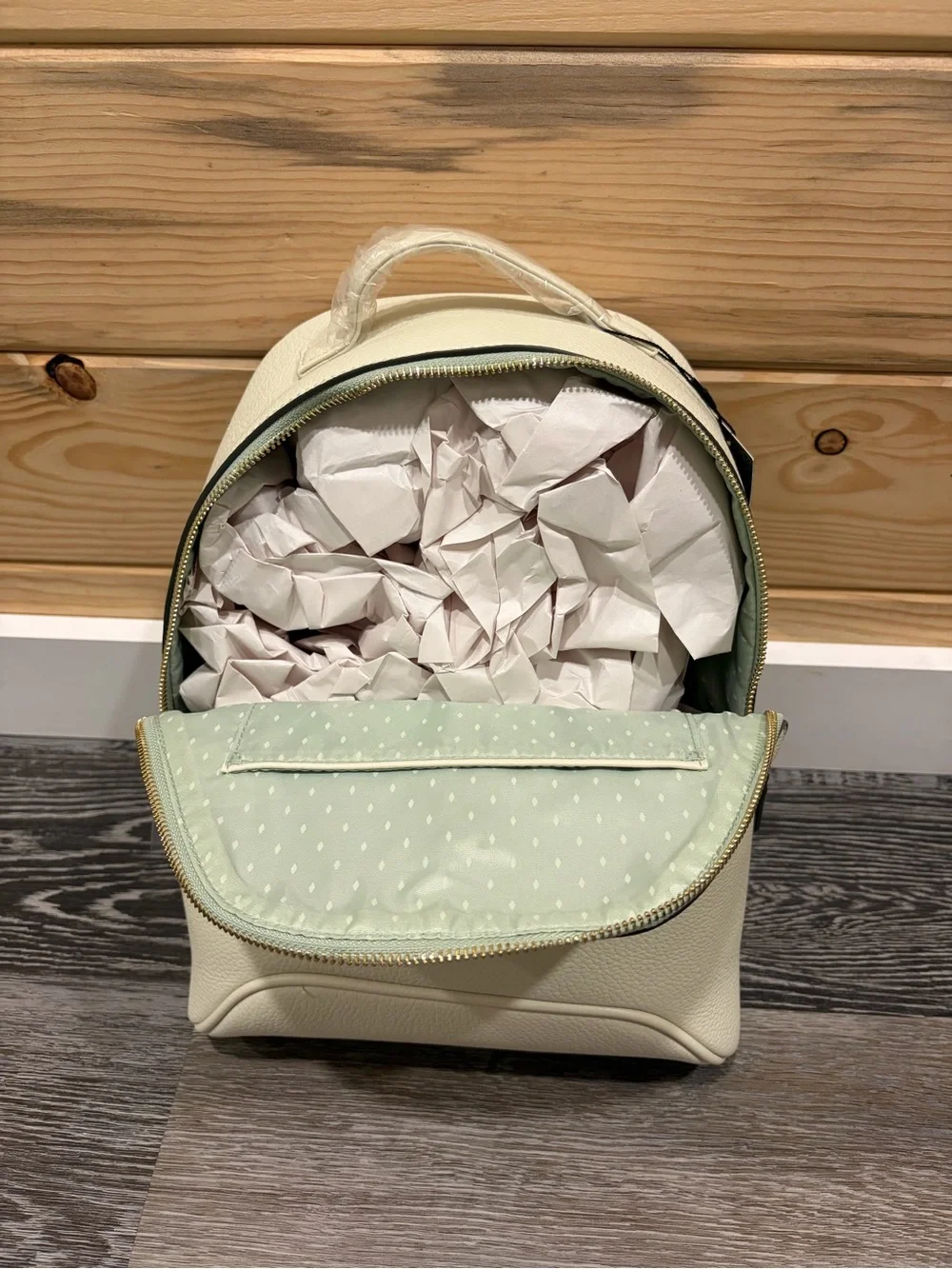 Vanessa Williams Bone color backpack purse, mint interior.